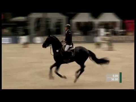 Holsteiner Verbandshengste 2019 - Diarado