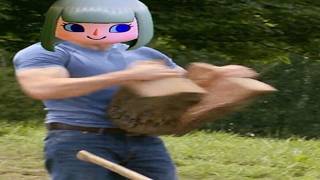 Top 5 Animal Crossing