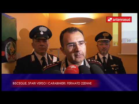 TG Antenna Sud ore 13:45 del 26 aprile 2019