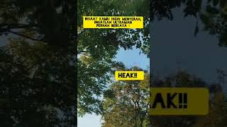 Download lagu ingat kata ultraman #ultraman #quotes #menyerah #shorts #motivasi #philipnitip #semangat #wastory mp3