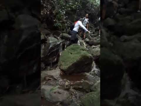 Trilha em Santa Rita na Paraiba #paraiba #trilhas #nature #nordeste