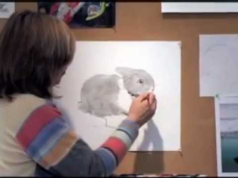 How to Draw a Bunny