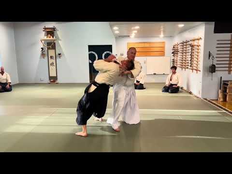 Aikido: Irimi Nage Demo (Ura & Omote)