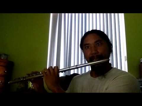 Bebe Rexha - I got you flutestuff