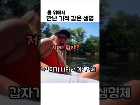 강에서 건진 아기 수달을 키우면 생기는 일 #수달