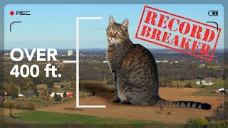 Worlds Biggest House Cat - Giant, Cute and Mean
