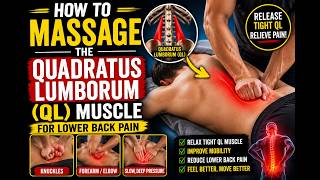 How to Massage the Quadratus Lumborum Muscle
