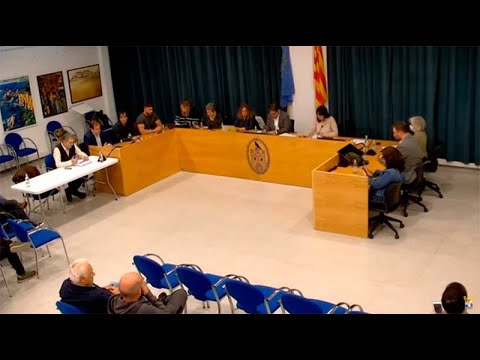 Ple extraordinari: Concessions platges