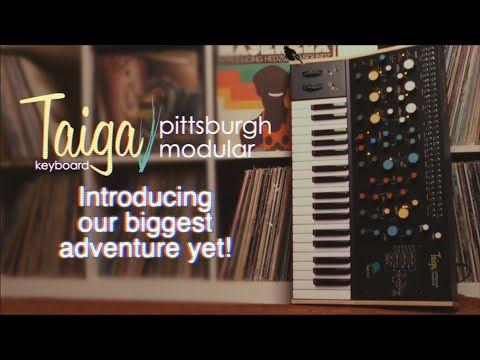 Introducing Taiga Keyboard Expandable Analog Synthesizer