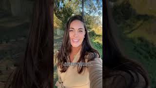 Cosa vedere e fare sul Lago di Bolsena! Itinerario nella Tuscia Viterbese