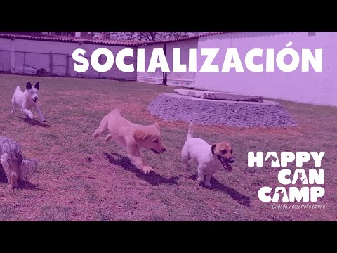 La socialización, con Gerson