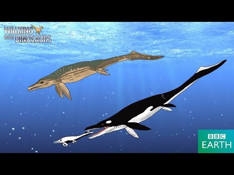 Chased by dinosaurs sea monsters (2003) - Cymbospondylus