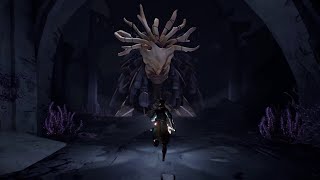 Watch and explore about Ashen EU XBOX One CD Key