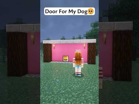 Insane Minecraft Door for My Dog! 🐶🚪 #shorts