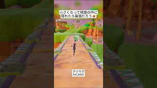 フォートナイトは小さくなってしまうやばすぎるバグを早く修正してください😭 #フォートナイト #fortnite #shorts