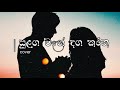 Sulanga Wage Danga Karana (සුළඟ වගේ දඟ කරන) COVERD BY Akalanka Deshan.