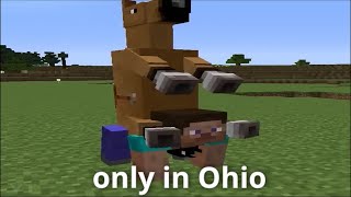 Minecraft In Ohio #1