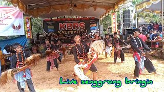 Download lagu warok warok KBRS KALIMANGKLI TUNTANG kabupaten Semarang live senggrong bringin mp3