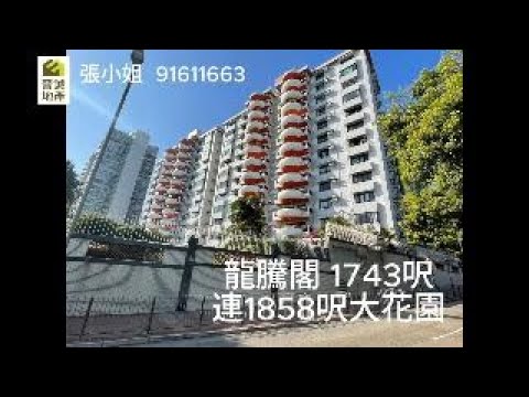 龙腾阁 Youtube Video