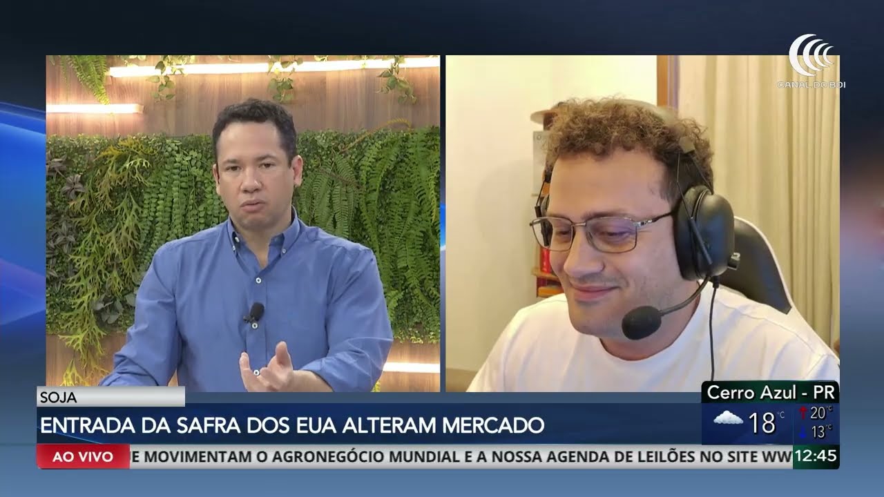 Dólar e avanço da safra dos EUA movimentam preços da soja