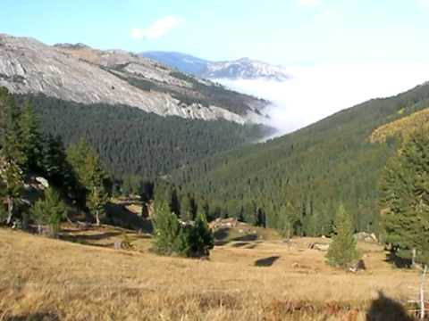 Bjeshket e deqanit : milishevci