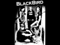 BlackBird - Stupid Fucking Bitch 
