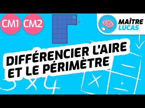 Différencier l'aire et le périmètre CM1 - CM2 - Cycle 3 - Maths - Mathématiques - Mesures