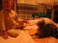 Cat Get S Revenge On Violent Kid