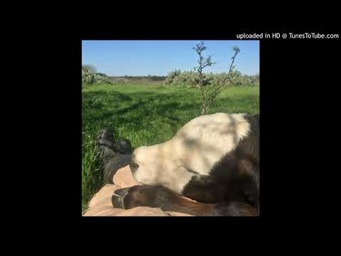 alberto-kuselman-y-chamalu-nino-salvaje