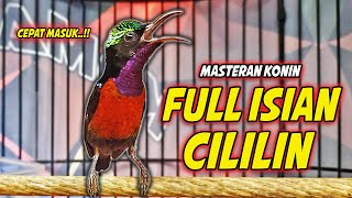 Download lagu KONIN GACOR FULL NEMBAK ISIAN CILILIN MEWAH !! PANCINGAN KOLIBRI NINJA BAHAN AGAR CEPAT EMOSI mp3 Download lagu KONIN GACOR FULL NEMBAK ISIAN CILILIN MEWAH !! PANCINGAN KOLIBRI NINJA BAHAN AGAR CEPAT EMOSI mp3