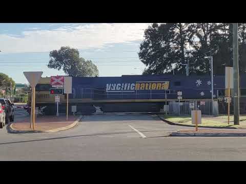 Pacific National Double Diesel Locomotive Freight Train #trains #trainspotting #trainspotter #rail