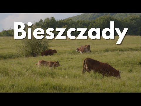 Bieszczady Mountains - Poland in 4K