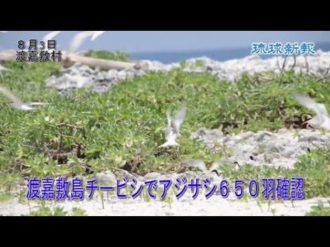 リスレット鳥類保護区 - 定義