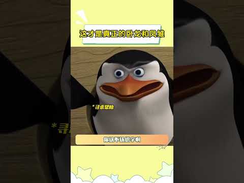 这才是真正的卧龙和凤雏 #马达加斯加 #高雅人士 #卧龙凤雏