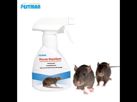 How to use Pestman Rat Repellent to keep rats away?