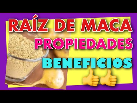 Starbien Beneficios Y Formas De Tomarse Solo O Mezclado Recomendaciones, Recetas Y Mas Faqs 9 RAÍZ de MACA 5 BENEFICIOS PROPIEDADES y CONTRAINDICACIONES