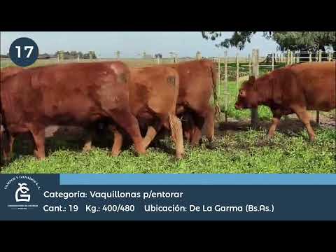 Lote VQ  P/ Entorar - De la Garma Bs As