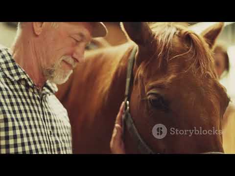 The 2024 Kentucky Derby: A Thrilling Ride