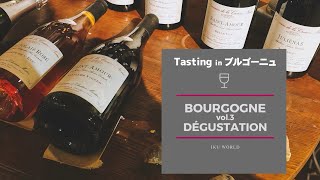【ブルゴーニュの旅_Vol3. Dégustation】