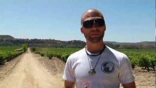 Bodega Contino - La Rioja, Spain