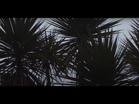 Mansa Muffa- Came Along Way