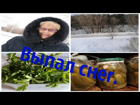 Вчера ещё снега не было, а сегодня  настоящая зима.