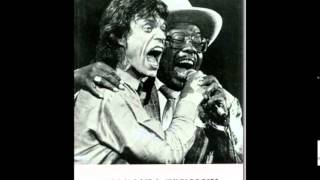 Jimmy Rogers ~ ''Blue And Lonesome''(Modern Electric Chicago Blues 1995)