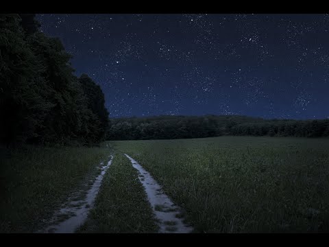 Joe Hisaishi - Spring and Summer / L. Mity Piano Arrange