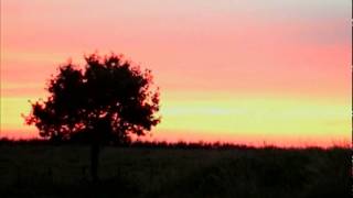 Goldfrapp - Melancholy Sky (Unofficial Video)