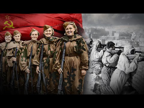 Snipers of Stalingrad: The Women Who Shook the Third Reich