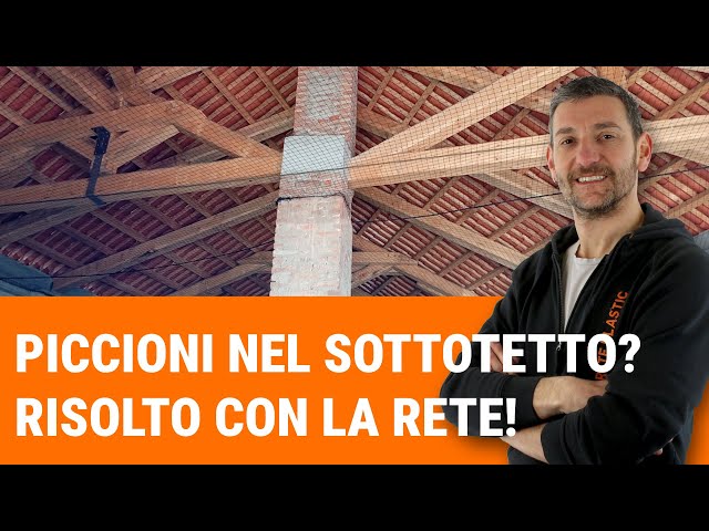 Piccioni nel sottotetto? Risolto con la rete!