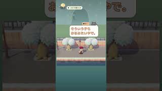 【あつ森】ラコスケから気になった…ラッコって体にポケットあるん？