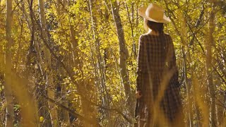 Autumn Scenery, Acoustic Folk Music, Indie/-Folk, Relaxing Chill Folk Music "The Great Unknown"