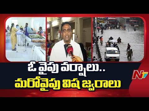 Viral Fevers, Dengue Cases Increasing in Hyderabad | Special Report | NTV Telugu